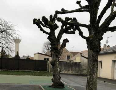 Ecole