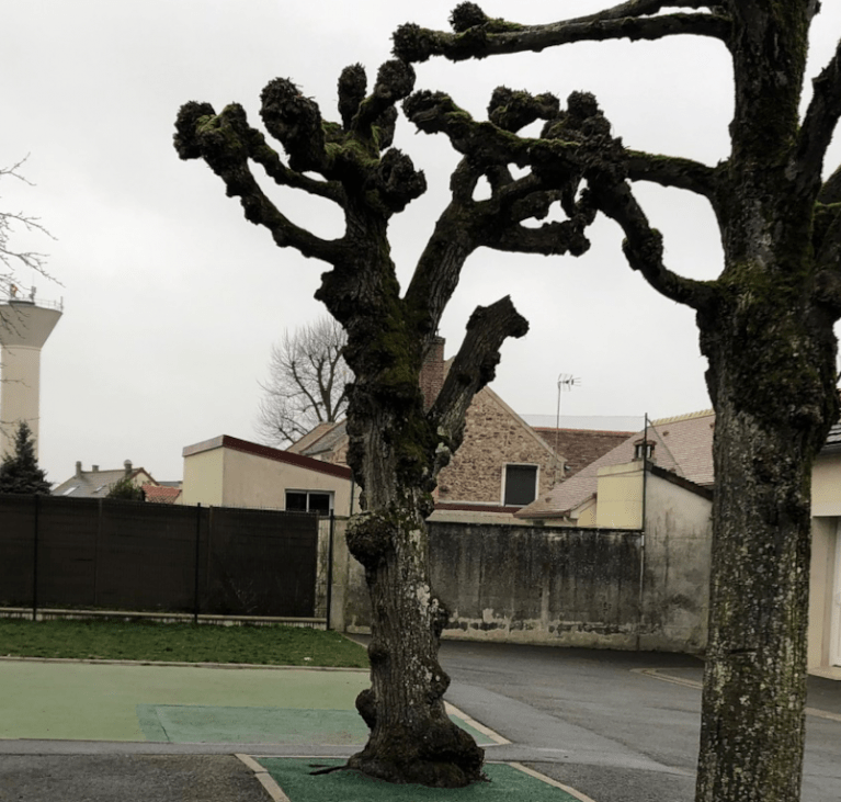 Ecole